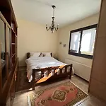 度假居 ανάμεσα στα έλατα