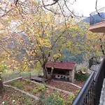 ανάμεσα στα έλατα *