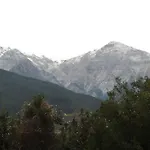 ανάμεσα στα έλατα *