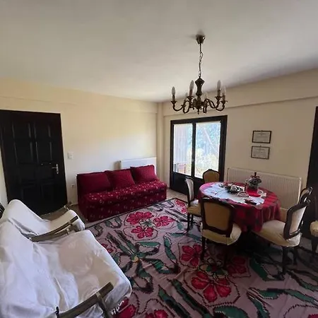 Ανάμεσα στα Έλατα *