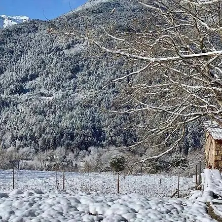 Ανάμεσα στα Έλατα