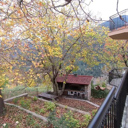 Ανάμεσα στα Έλατα *