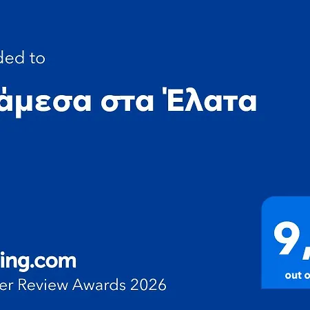 ανάμεσα στα έλατα Σπίτι διακοπών