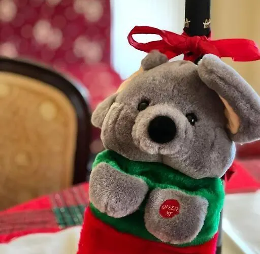 Ανάμεσα Στα Έλατα * Agia Varvara (Akrata)