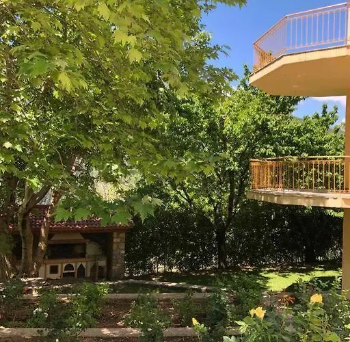 Ανάμεσα Στα Έλατα *