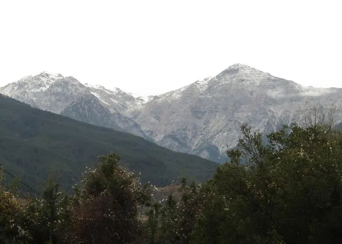 Ανάμεσα Στα Έλατα *