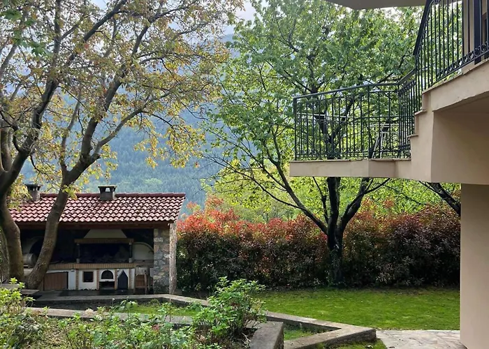 Ανάμεσα Στα Έλατα * Agia Varvara (Akrata)